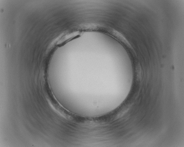 X0000079320538200612081936