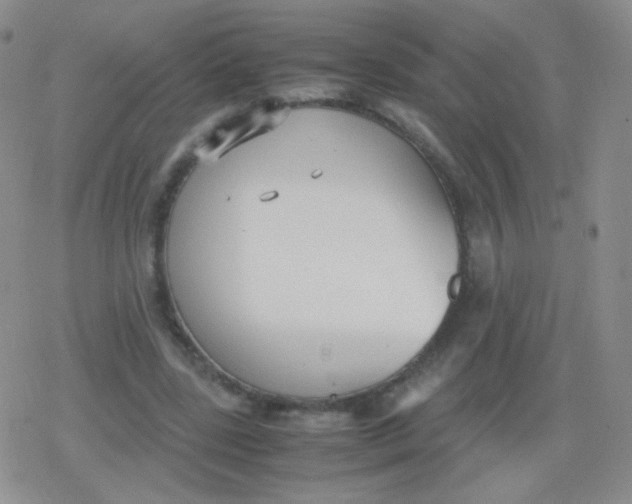 X0000079320539200612081936