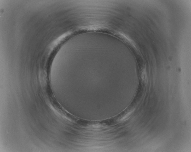 X0000079320540200612081936