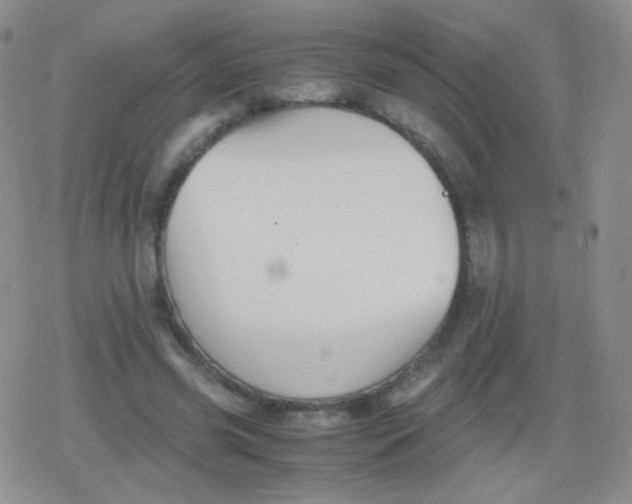 X0000079320541200612081936