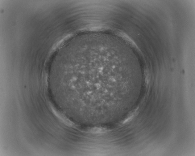 X0000079320542200612081937