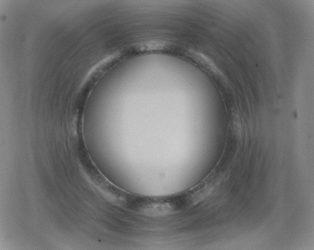 X0000079320543200612081937