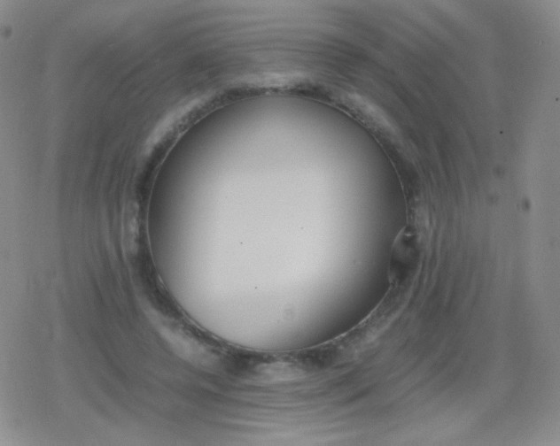 X0000079320544200612081937