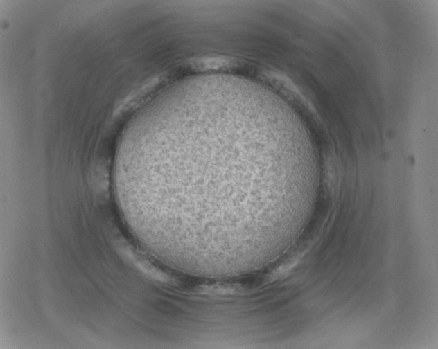 X0000079320545200612081937