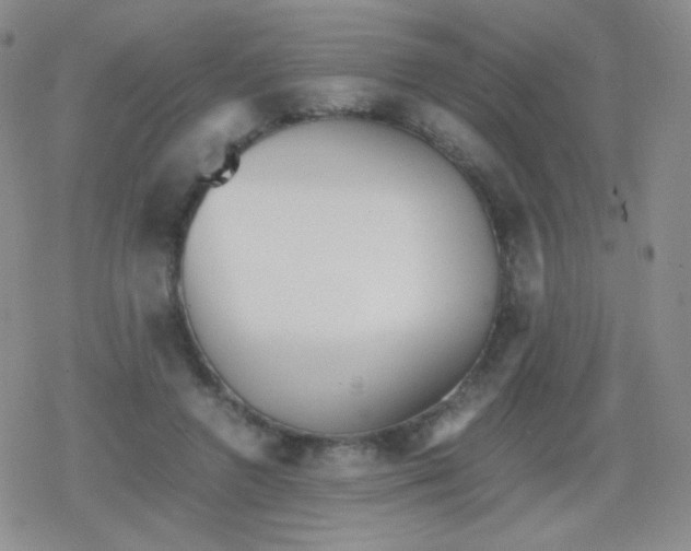 X0000079320546200612081937