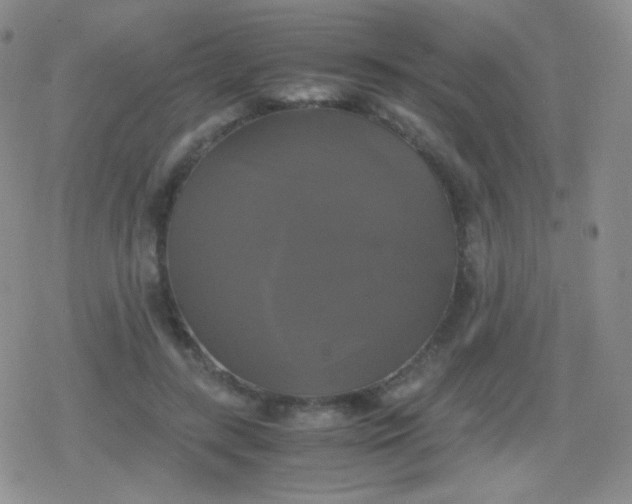 X0000079320547200612081937