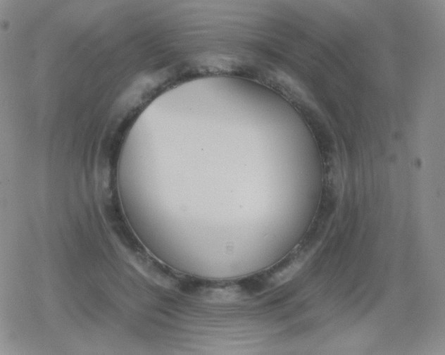 X0000079320548200612081937