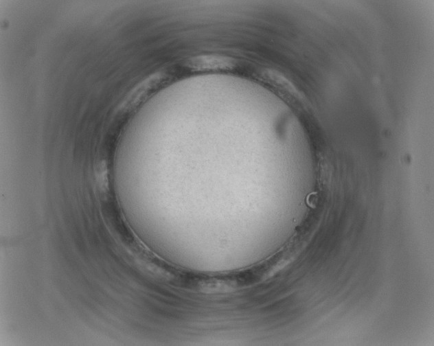 X0000079320549200612081937