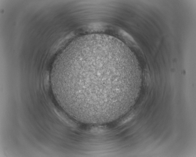 X0000079320550200612081937