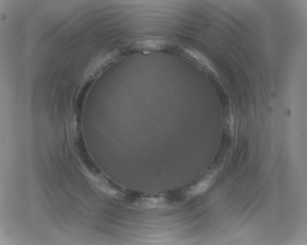 X0000079320552200612081937