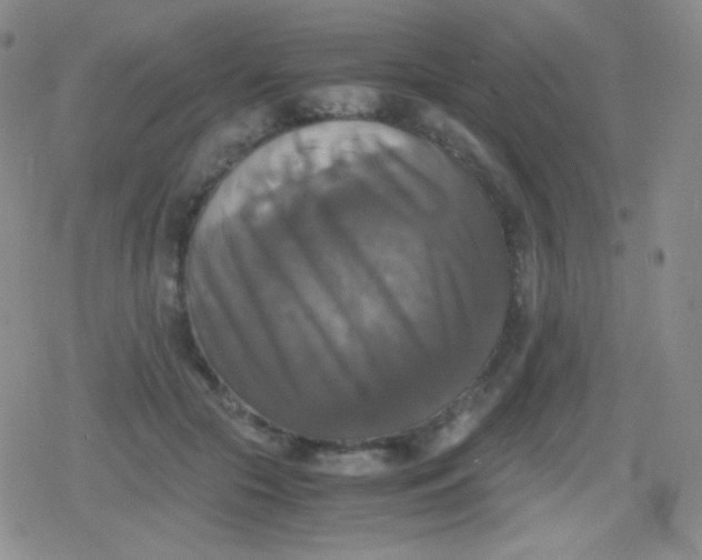 X0000079320553200612081937