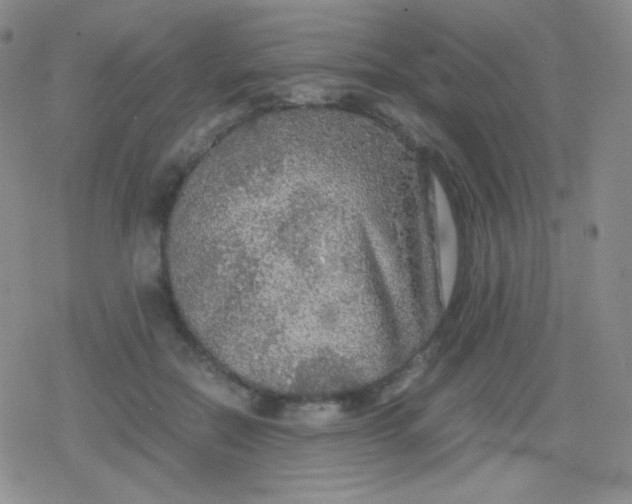 X0000079320554200612081937