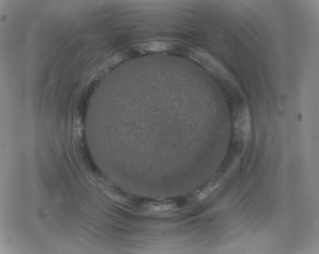 X0000079320555200612081937