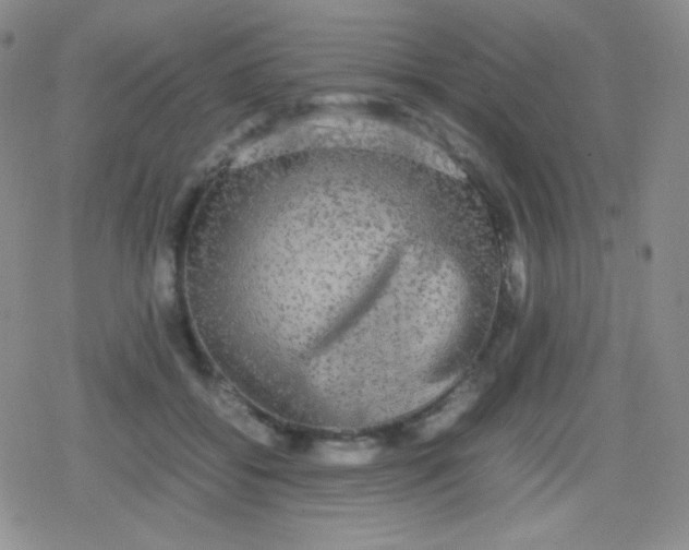 X0000079320556200612081937