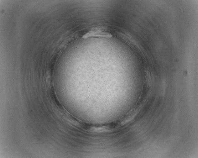 X0000079320557200612081937