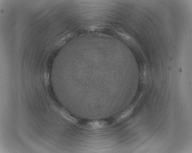 X0000079320558200612081937