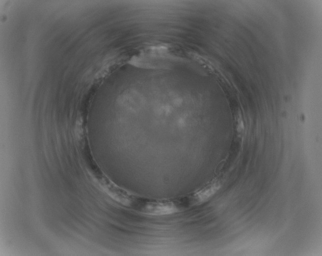 X0000079320559200612081937