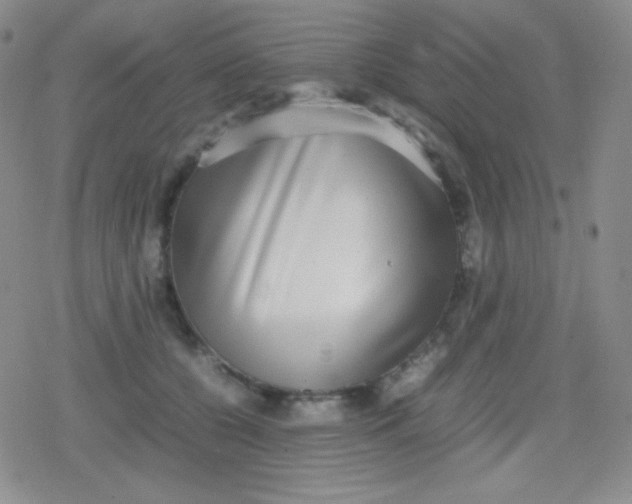 X0000079320560200612081937