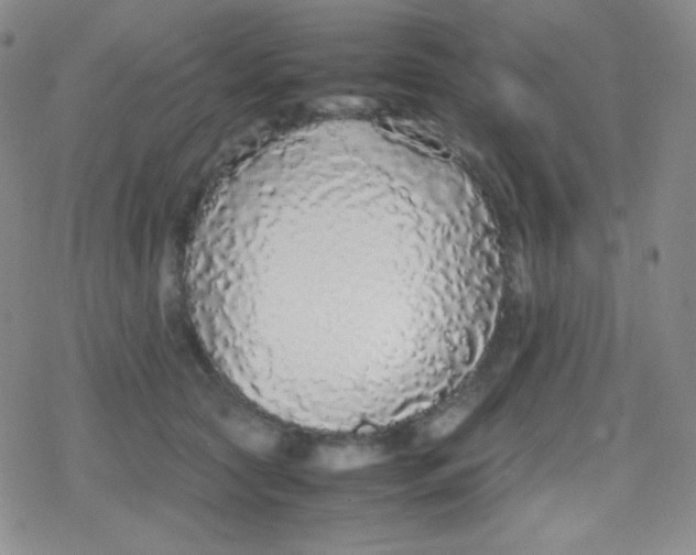 X0000079320561200612081937