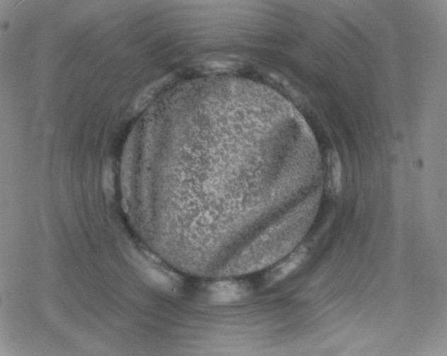 X0000079320562200612081937