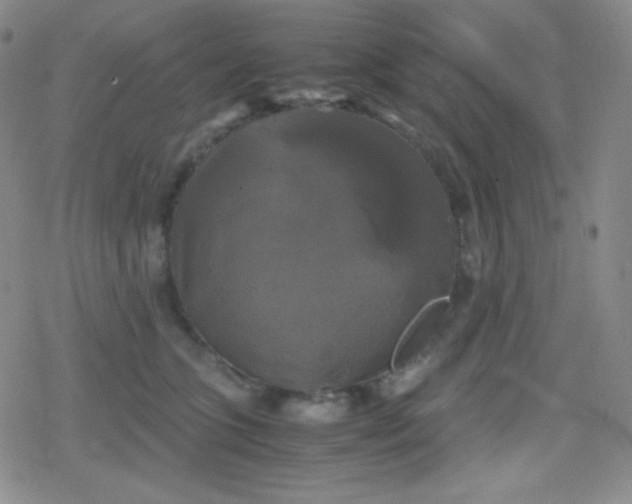 X0000079320563200612081937