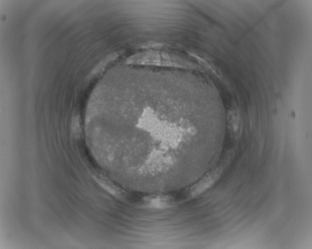 X0000079320564200612081937