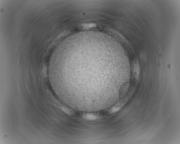 X0000079320565200612081937