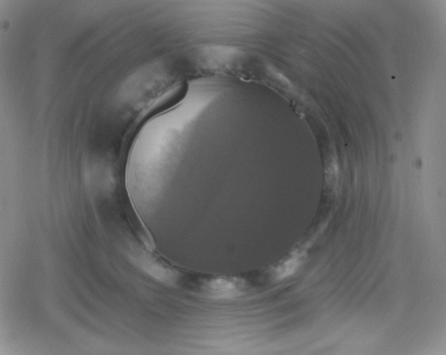 X0000079320566200612081937