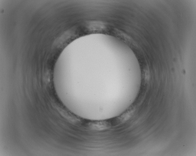 X0000079320567200612081937