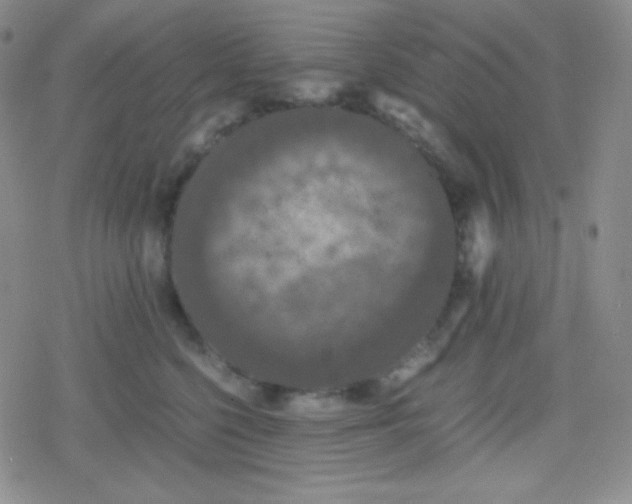 X0000079320568200612081937