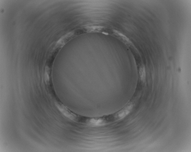 X0000079320570200612081937