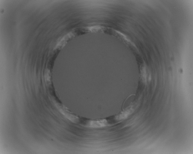 X0000079320571200612081937