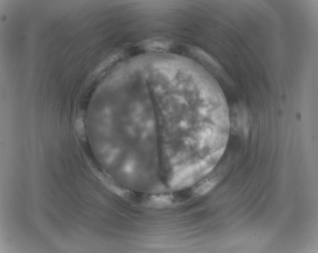 X0000079320573200612081937