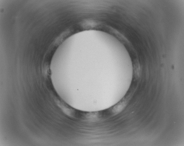 X0000079320574200612081937