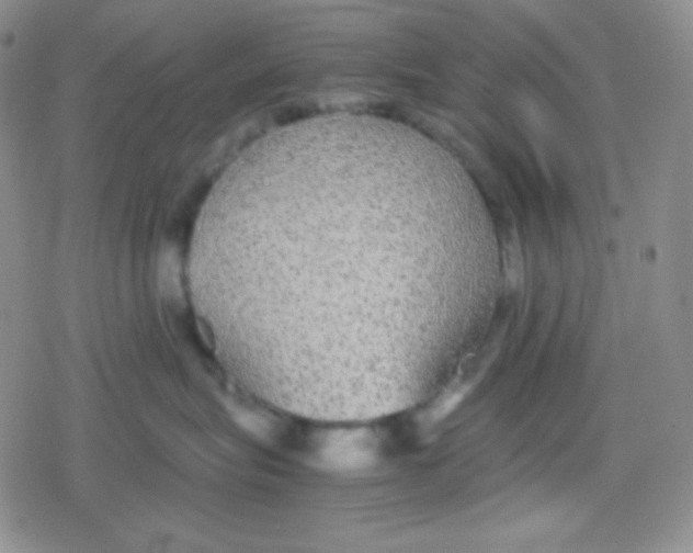 X0000079320575200612081937