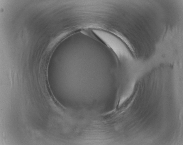 X0000079320577200612081936