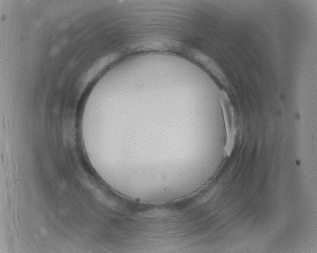 X0000079320578200612081936