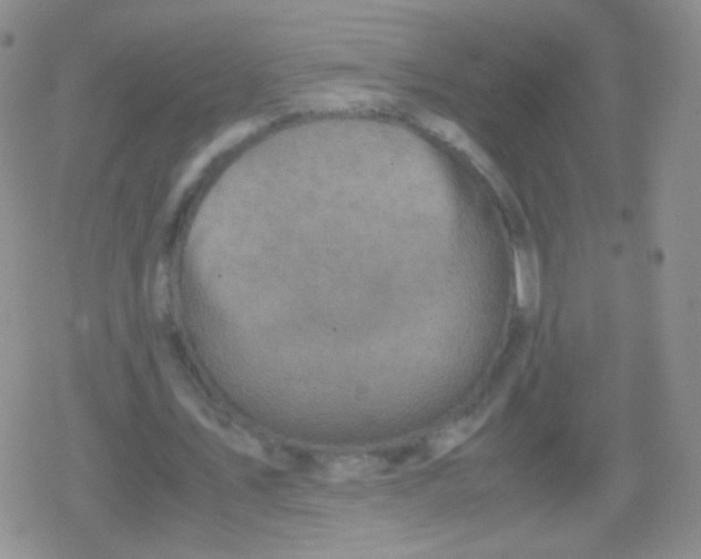 X0000079320579200612081936