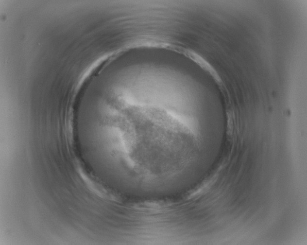 X0000079320580200612081936