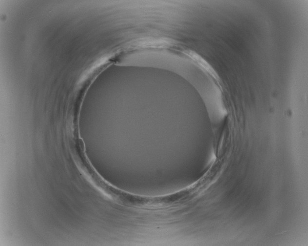 X0000079320581200612081936