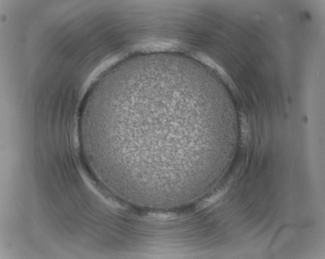 X0000079320582200612081936