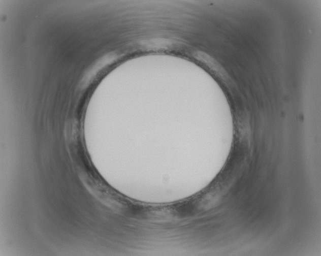 X0000079320583200612081936