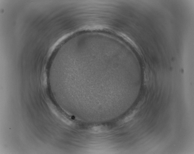 X0000079320584200612081936