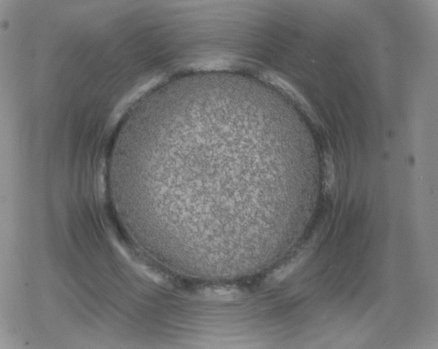 X0000079320586200612081936