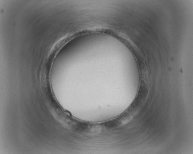 X0000079320587200612081936