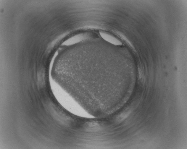 X0000079320588200612081936