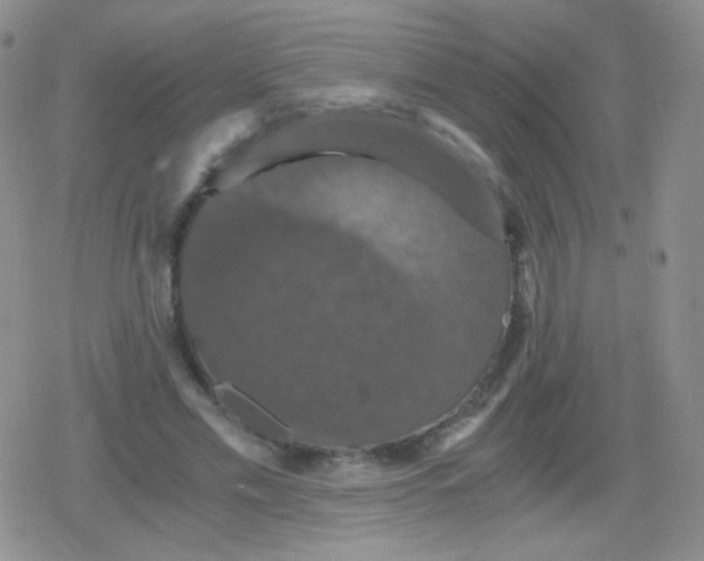 X0000079320589200612081936