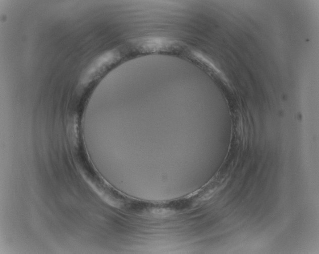 X0000079320590200612081936