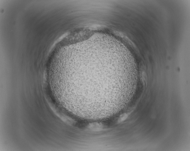 X0000079320591200612081936