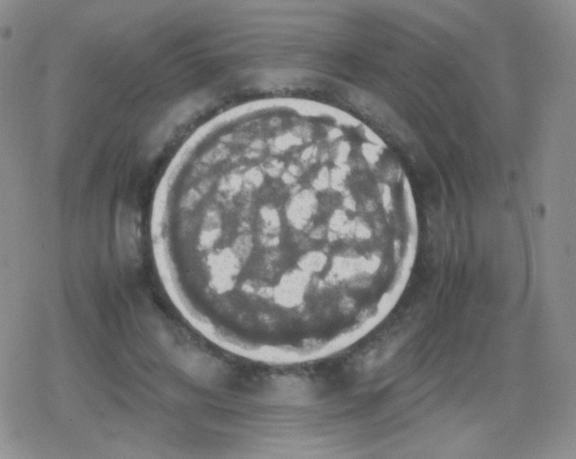 X0000079320592200612081936